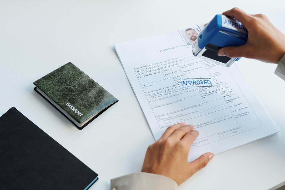 Visa and Passport Consultant
