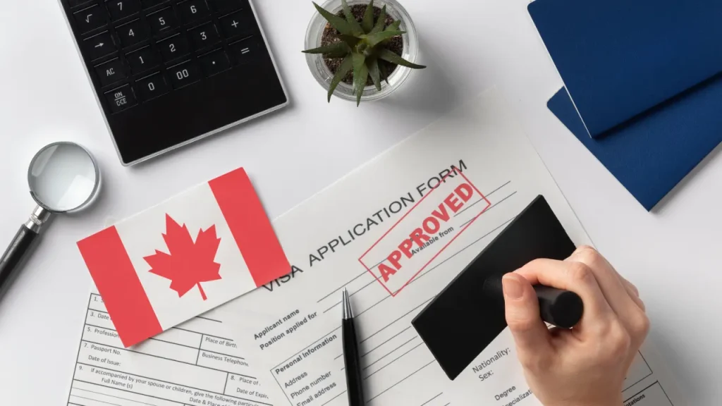 Immigration Consultant