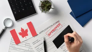 Immigration Consultant